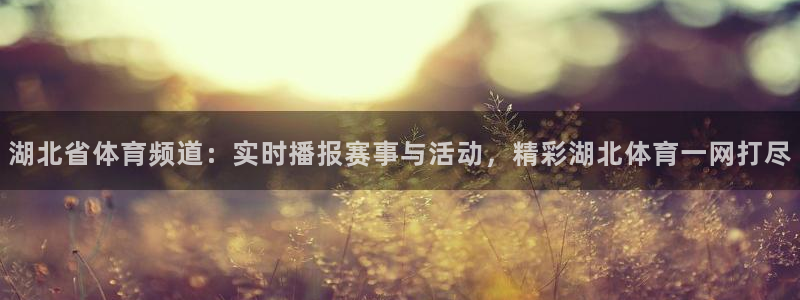 东升国际app官网入口：湖北省体育频道：实时播报赛事与活动，精彩湖北体育一网打尽