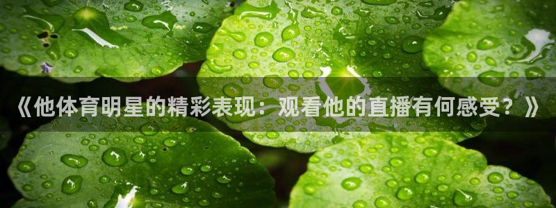 东升国际链接：《他体育明星的精彩表现：观看他的直播有何感受？》