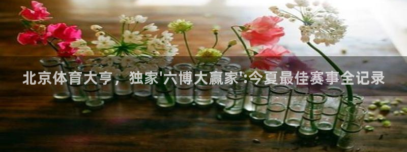 东升国际app下载最新版本：北京体育大亨，独家\'六博大赢家\':今夏最佳赛事全记录