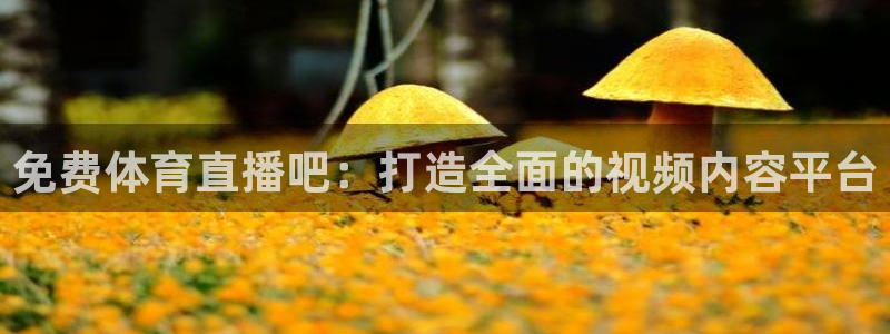 东升国际版：免费体育直播吧：打造全面的视频内容平台