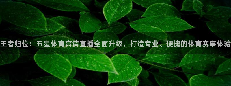 东升国际电子app下载安装：王者归位：五星体育高清直播全面升级，打造专业、便捷的体育赛事体验