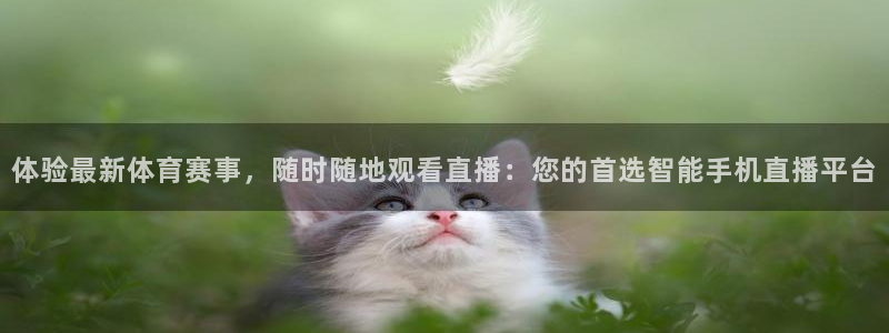 东升国际66856官网下载：体验最新体育赛事，随时随地观看直播：您的首选智能手机直播平台
