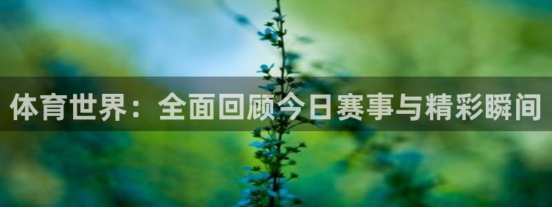 东升国际app下载链接：体育世界：全面回顾今日赛事与精彩瞬间