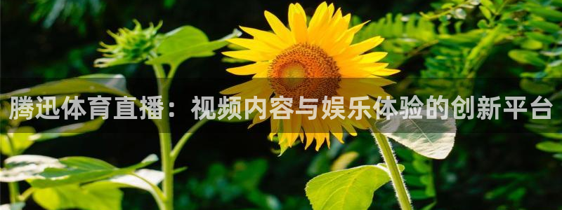 东升国际app下载链接：腾迅体育直播：视频内容与娱乐体验的创新平台