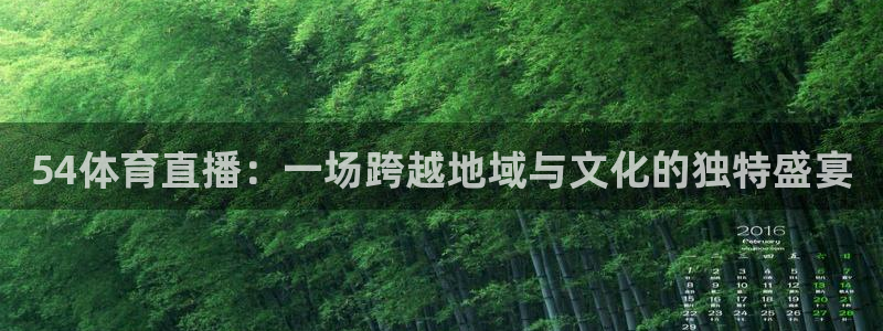 北京东升国际科技园：54体育直播：一场跨越地域与文化的独特盛宴