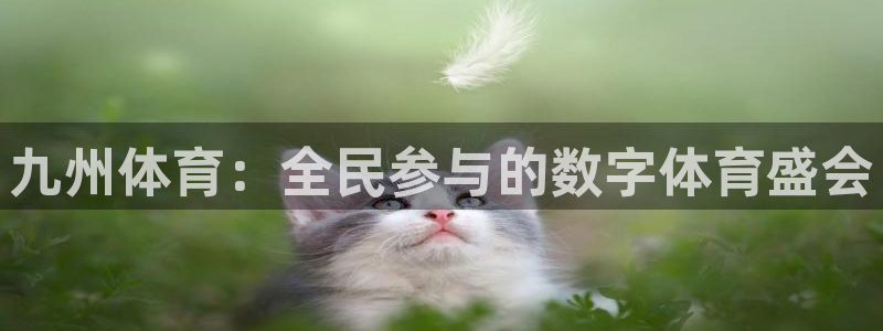 东升国际66856官网下载：九州体育：全民参与的数字体育盛会
