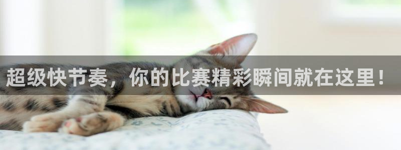东升国际app登录入口官网：超级快节奏，你的比赛精彩瞬间就在这里！