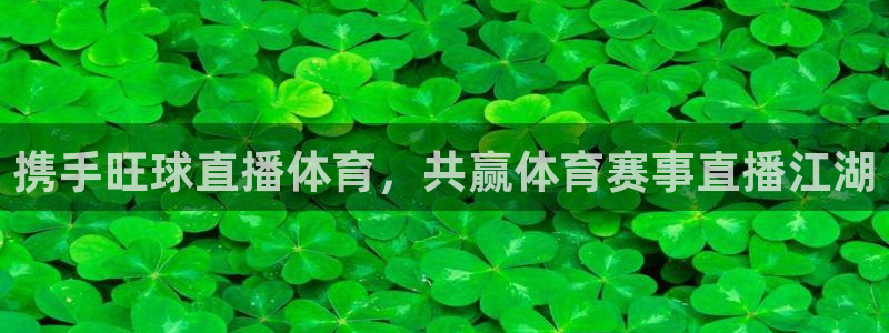 东升国际66856官网下载：携手旺球直播体育，共赢体育赛事直播江湖